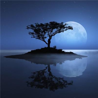 BSport·APP在线登录